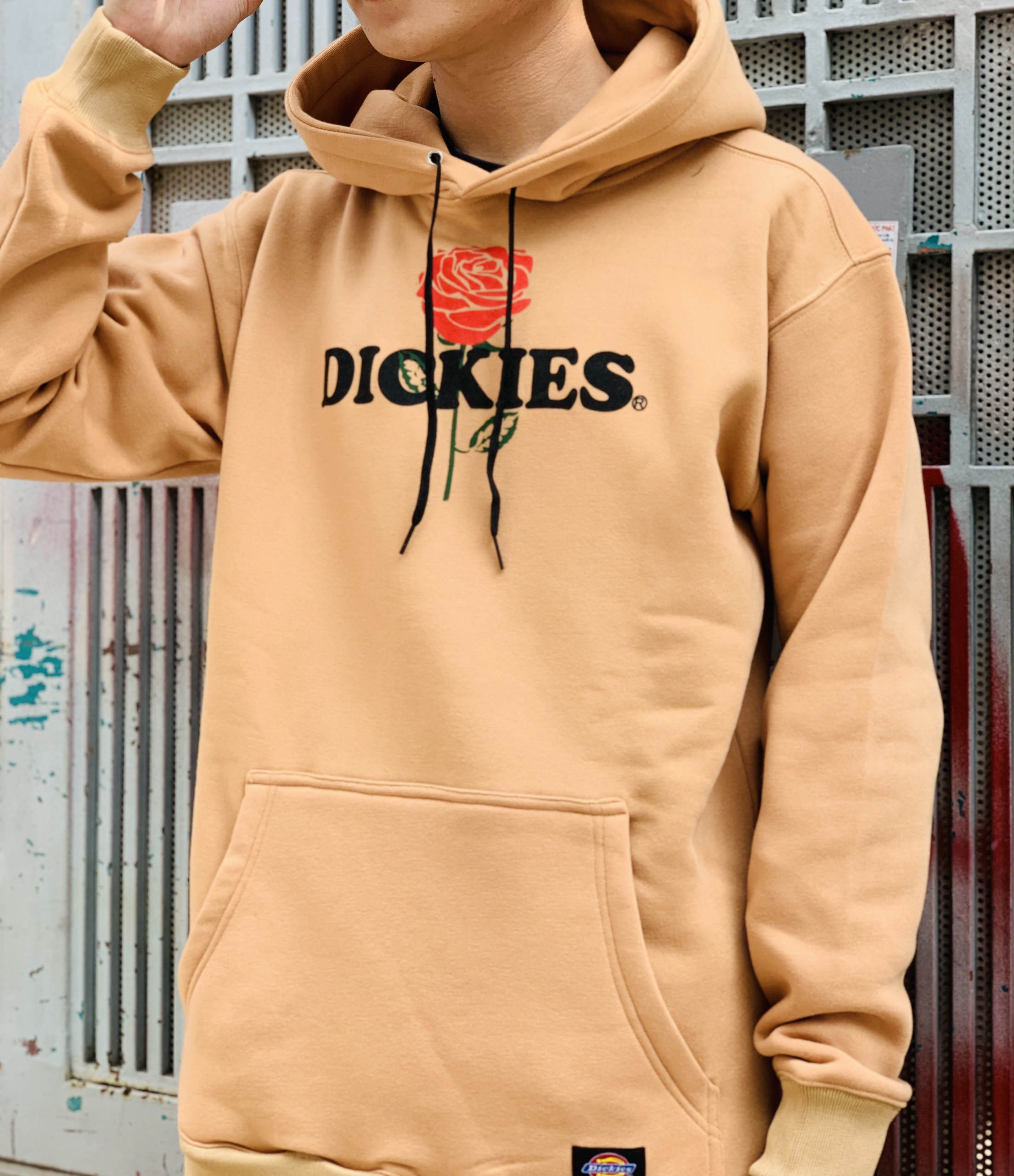 dickie hoodie